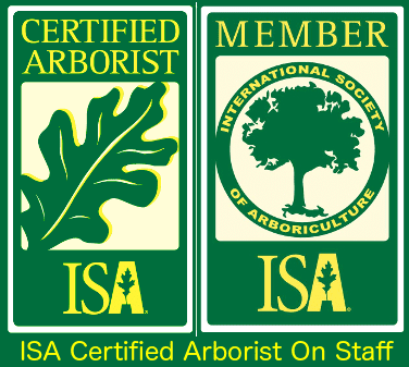 ISA-Member-Arborist-2